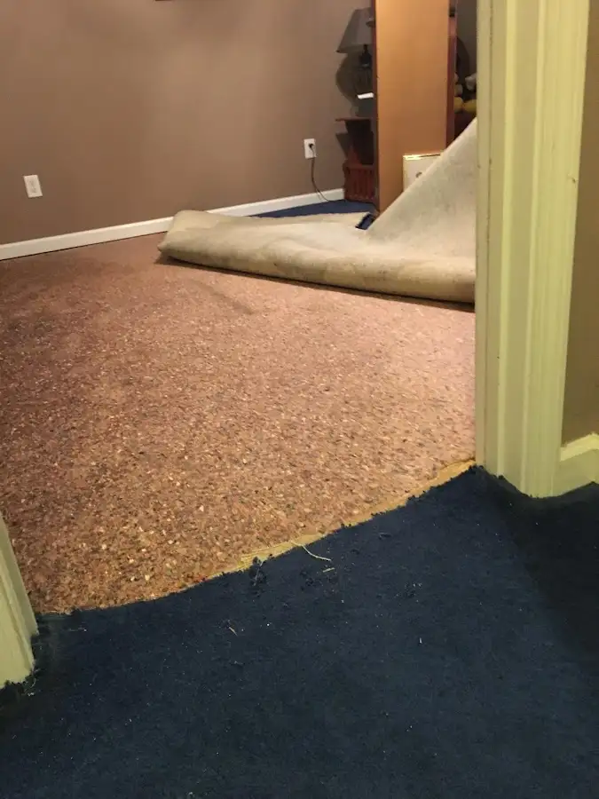Carpet pad removal revealing water damage during Water Mitigation Services in Skokie